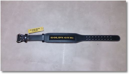 �g���[�j���O�x���g�̃��S