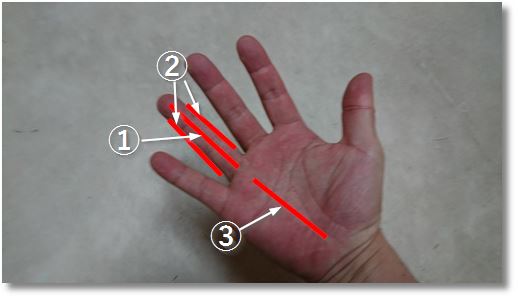 �F�≊�i�΂ˎw�j