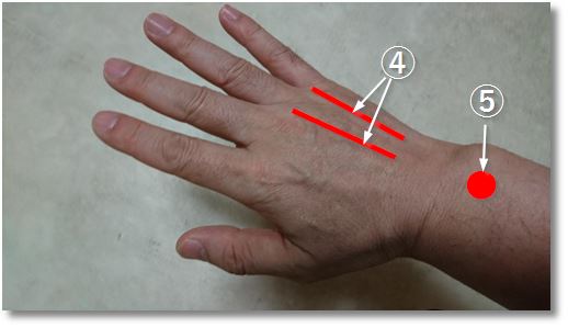 �F�≊�i�΂ˎw�j