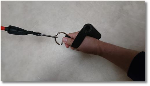 �F�≊�i�o�l�w�j�@�`���[�u