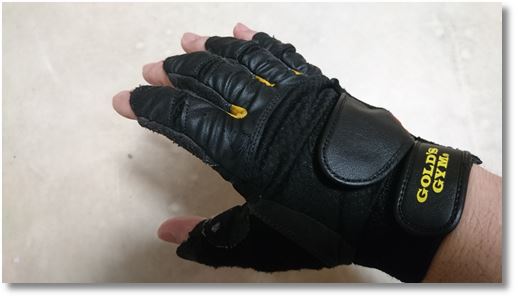 21������̃O���[�u