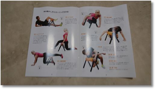 �n�C���[���[�iHighRoller�j