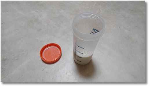 �}�c�L���̃\�C�v���e�C��100