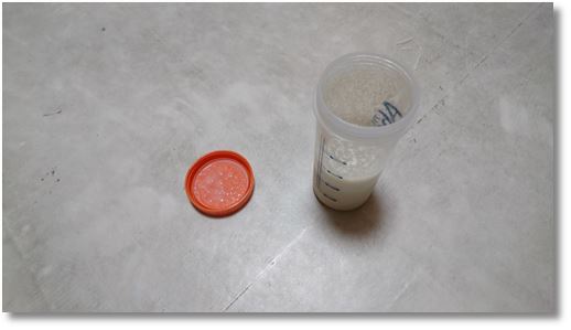 ���[���̃\�C�v���e�C��