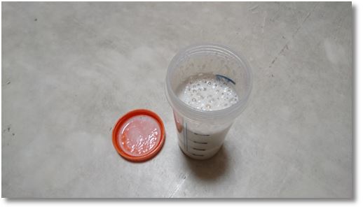 �}�c�L���̃z�G�C�v���e�C��100