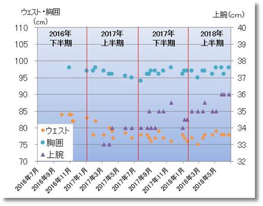2018上期の胸囲ウエスト