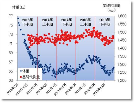 2018下期の体重と基礎代謝量