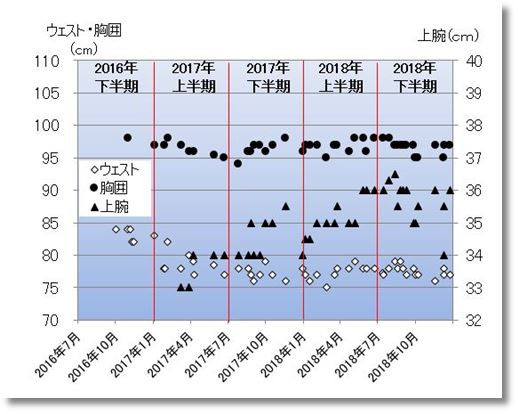 2018下期の胸囲ウエスト