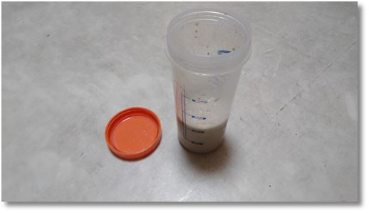 �T�o�X�̃\�C�v���e�C��100