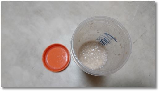 �T�o�X�̃\�C�v���e�C��100