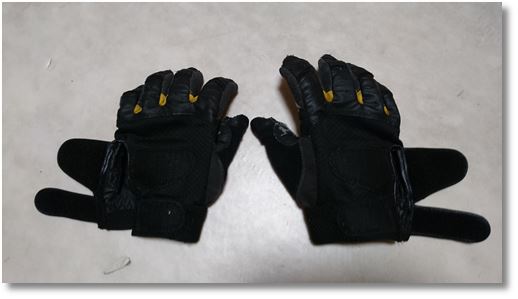 36������̃O���[�u