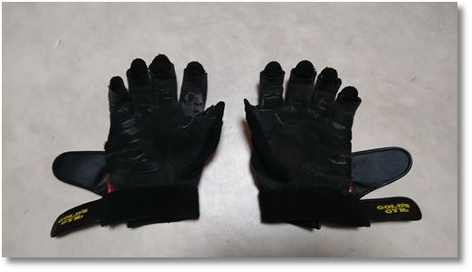 36������̃O���[�u