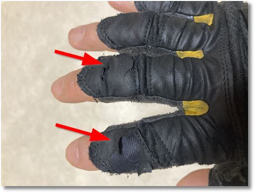 59������̃O���[�u