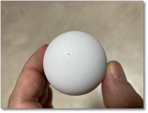 ����ނ����