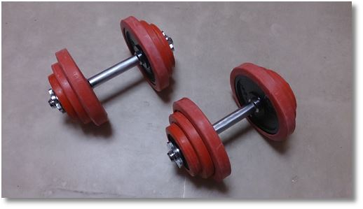 �d��20kg�̃_���x��