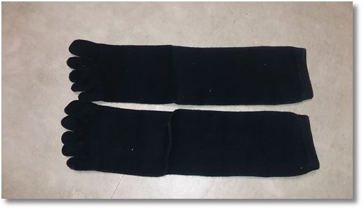 ���j�N���̂T�{�w�ɕ����ꂽ�C��