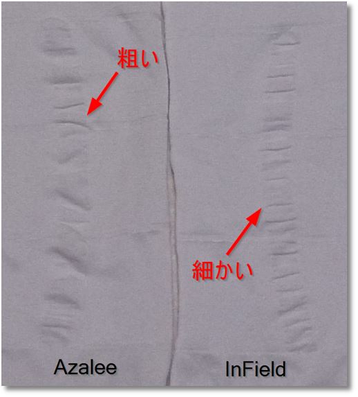 AzaleeとInField比較 同部分のひだ