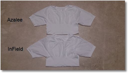 AzaleeとInField比較 上半分の背面